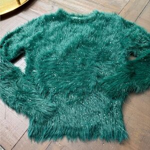 Zara Knit Emerald Sweater with Sparkle